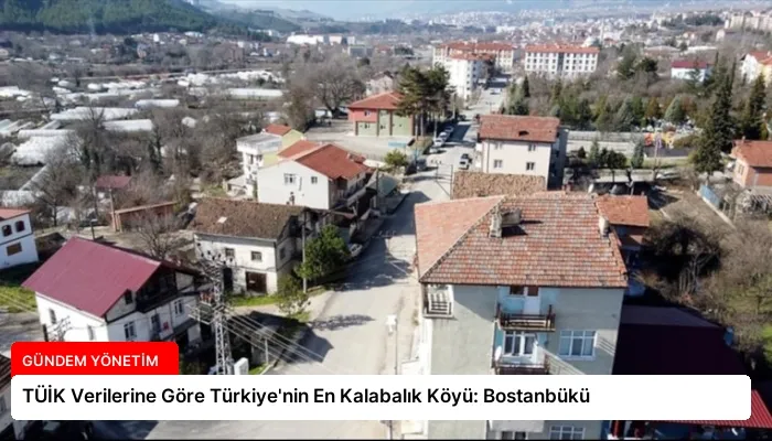TÜİK Verilerine Göre Türkiye’nin En Kalabalık Köyü: Bostanbükü