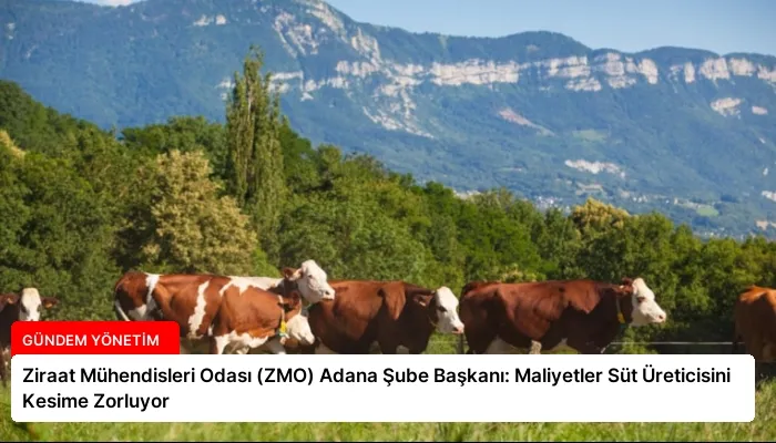 Ziraat Mühendisleri Odası (ZMO) Adana Şube Başkanı: Maliyetler Süt Üreticisini Kesime Zorluyor