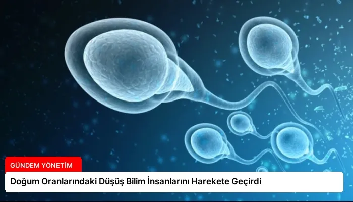 Doğum Oranlarındaki Düşüş Bilim İnsanlarını Harekete Geçirdi
