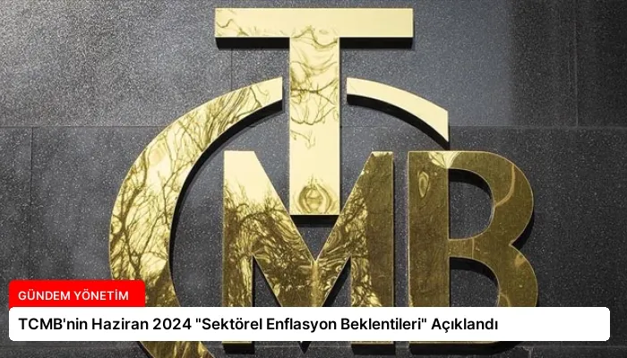 TCMB’nin Haziran 2024 “Sektörel Enflasyon Beklentileri” Açıklandı