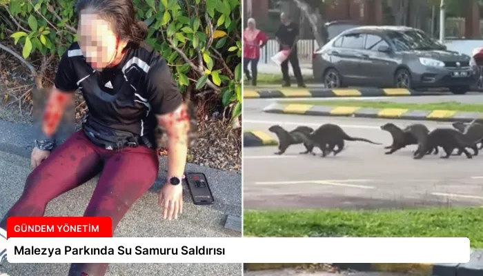 Malezya Parkında Su Samuru Saldırısı