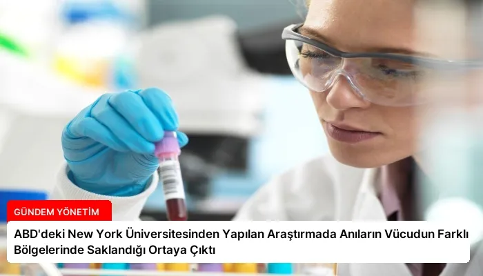 ABD’deki New York Üniversitesinden Yapılan Araştırmada Anıların Vücudun Farklı Bölgelerinde Saklandığı Ortaya Çıktı