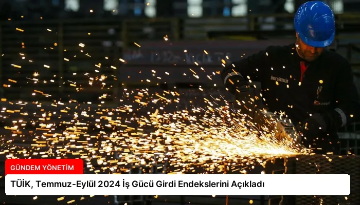 TÜİK, Temmuz-Eylül 2024 İş Gücü Girdi Endekslerini Açıkladı