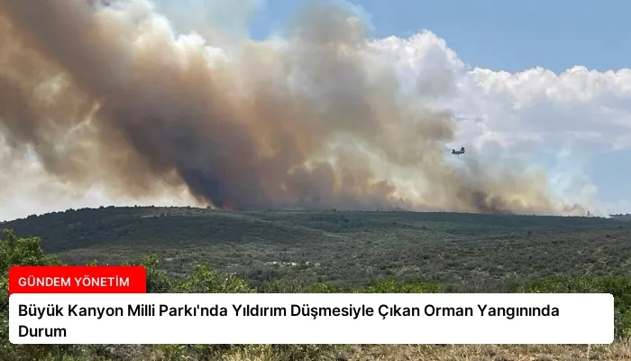 Büyük Kanyon Milli Parkı’nda Yıldırım Düşmesiyle Çıkan Orman Yangınında Durum