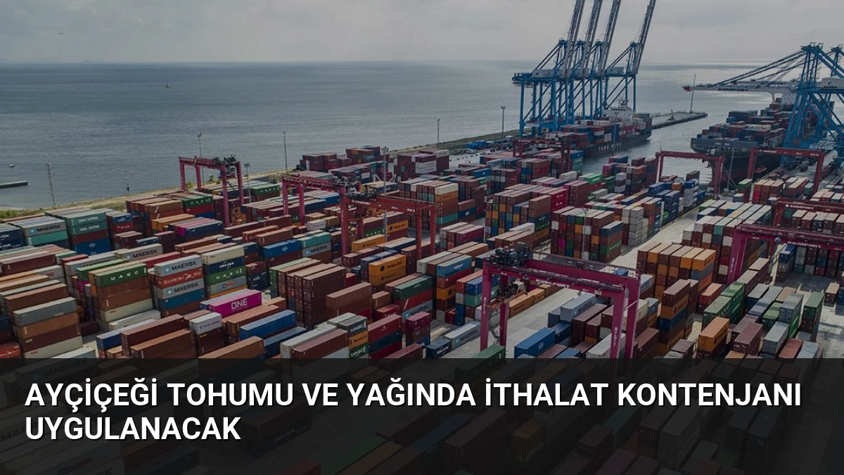Ayçiçeği Tohumu ve Yağında İthalat Kontenjanı Uygulanacak