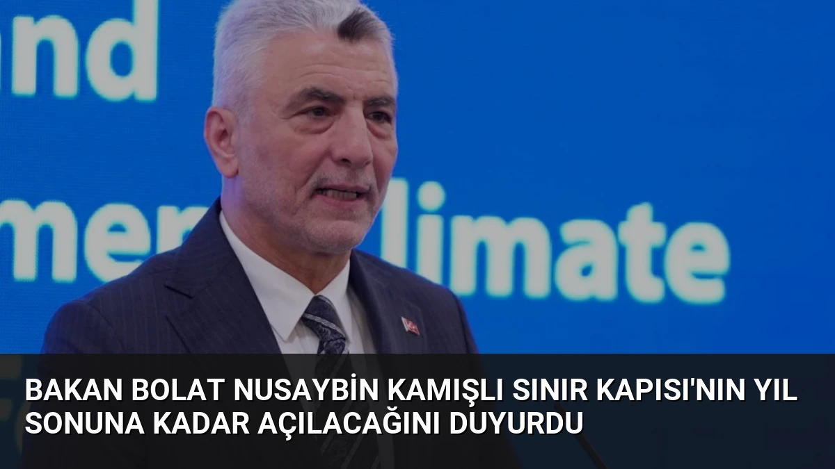 Bakan Bolat Nusaybin Kamışlı Sınır Kapısı’nın Yıl Sonuna Kadar Açılacağını Duyurdu