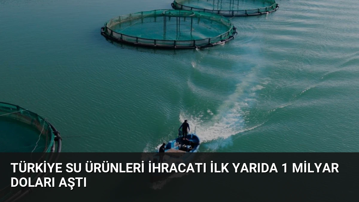 Türkiye Su Ürünleri İhracatı İlk Yarıda 1 Milyar Doları Aştı