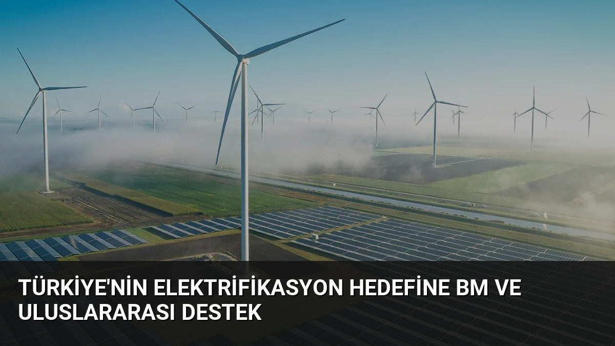 Türkiye’nin Elektrifikasyon Hedefine BM ve Uluslararası Destek