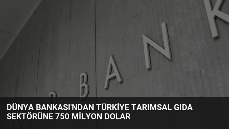 Dünya Bankası’ndan Türkiye Tarımsal Gıda Sektörüne 750 Milyon Dolar
