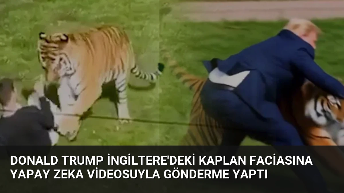 Donald Trump İngiltere’deki kaplan faciasına yapay zeka videosuyla gönderme yaptı
