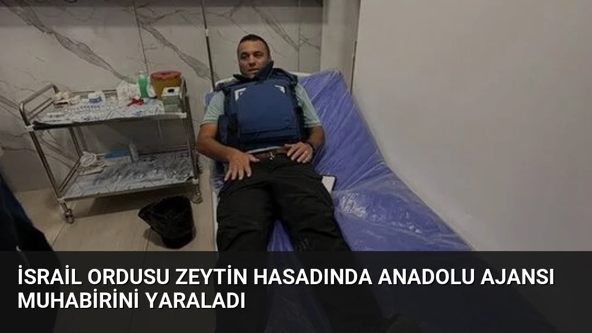 İsrail Ordusu Zeytin Hasadında Anadolu Ajansı Muhabirini Yaraladı